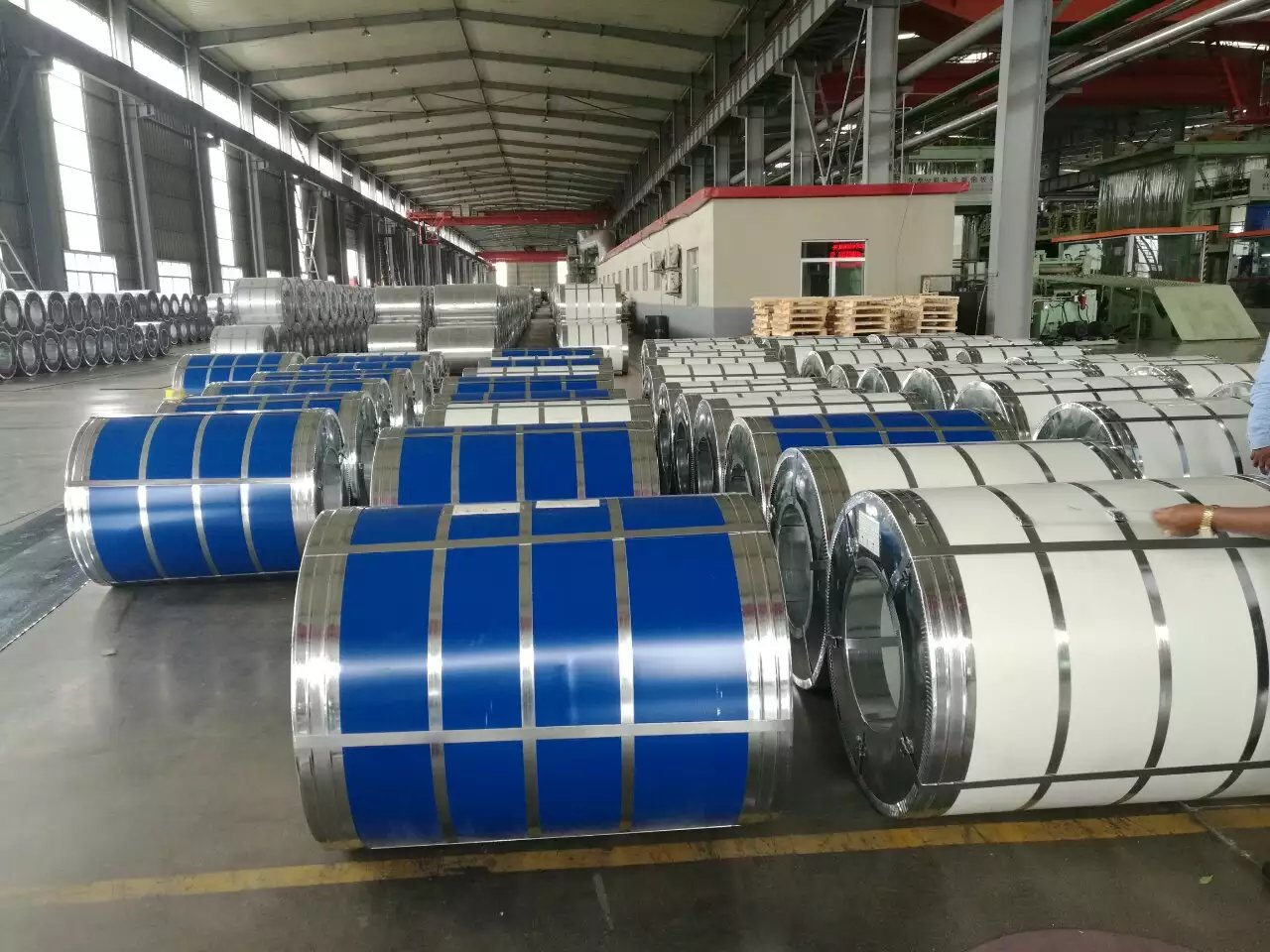 Prepainted Steel Coil 
